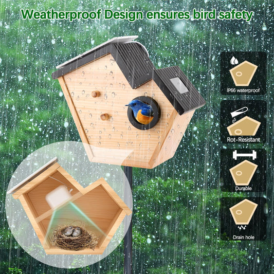 Bird House Camera Solar WiFi Smart Birdhouse HD Motion Detection 32GB