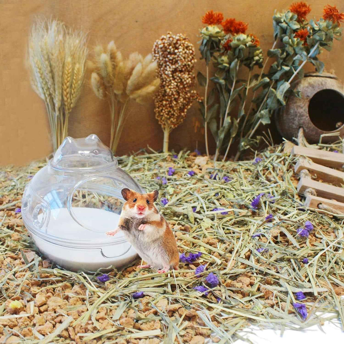 Hamster Bath Sand Dust Free Desert Small Pet Litter Chinchilla Gerbil 3lb