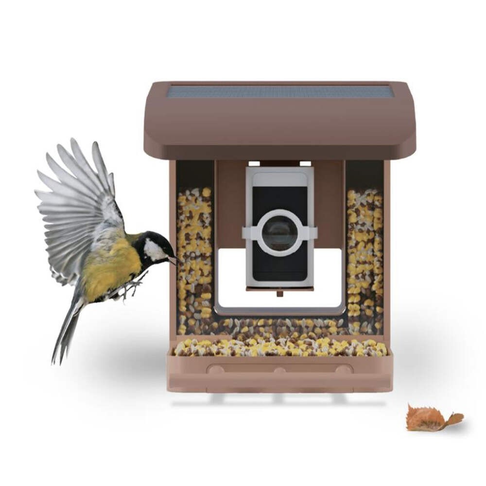 Wyze Bird Feeder Wireless Camera Bundle with Solar Panel
