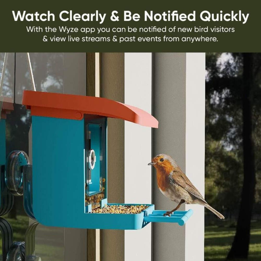 Wyze Bird Feeder Wireless Camera Bundle with Solar Panel