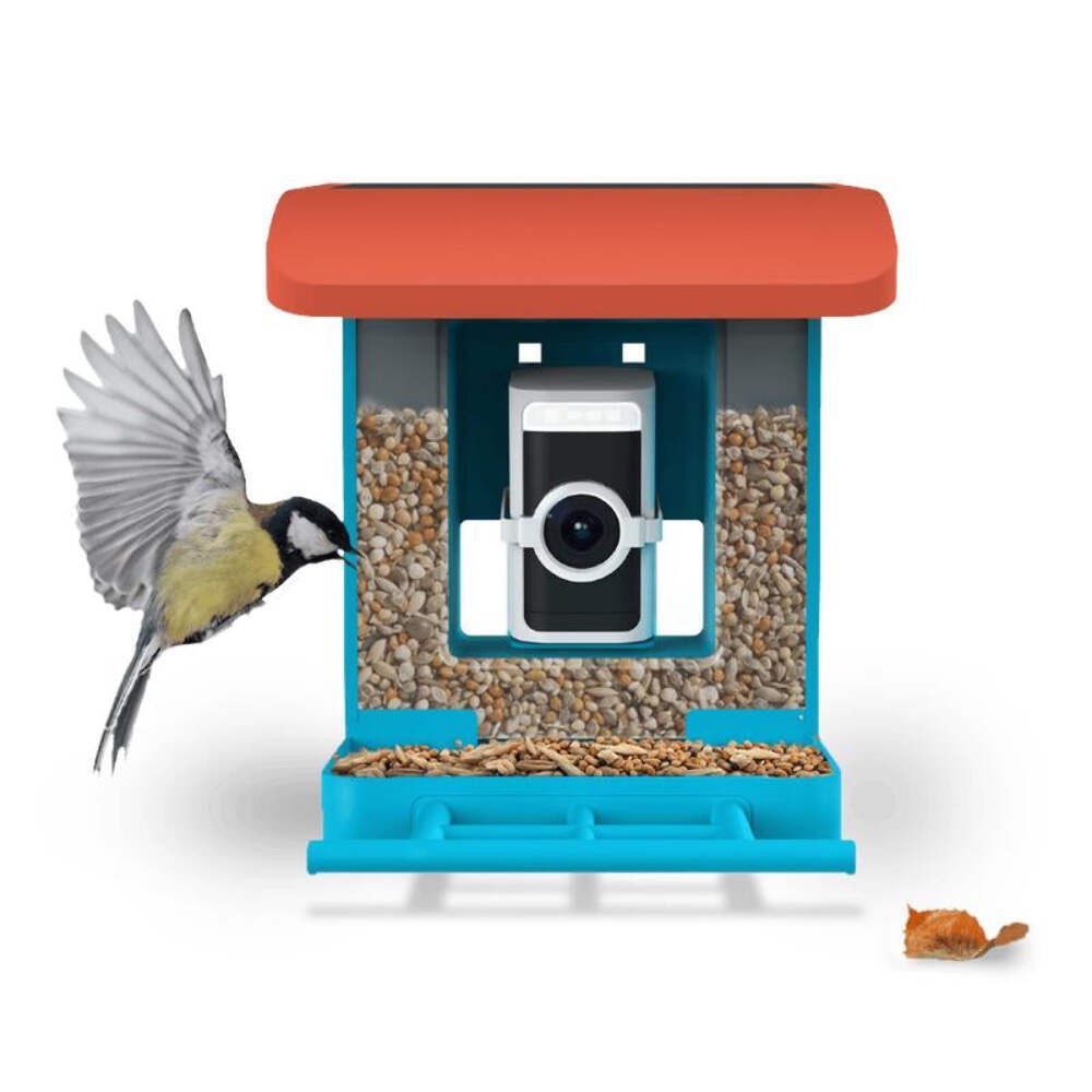 Wyze Bird Feeder Wireless Camera Bundle with Solar Panel