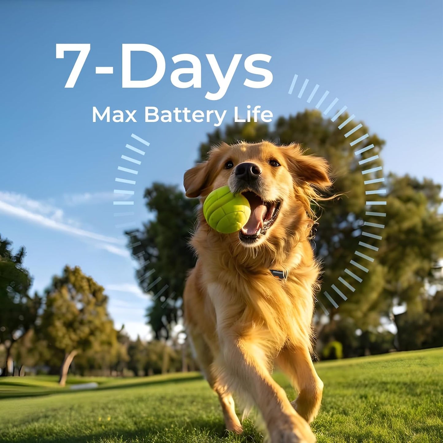GPS Dog Tracker No Subscription Off Grid Large Dogs Waterproof 7 Day