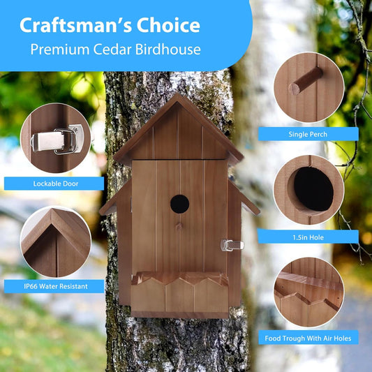 Bird House Camera Solar WiFi 1080P HD Motion Detection Night Vision