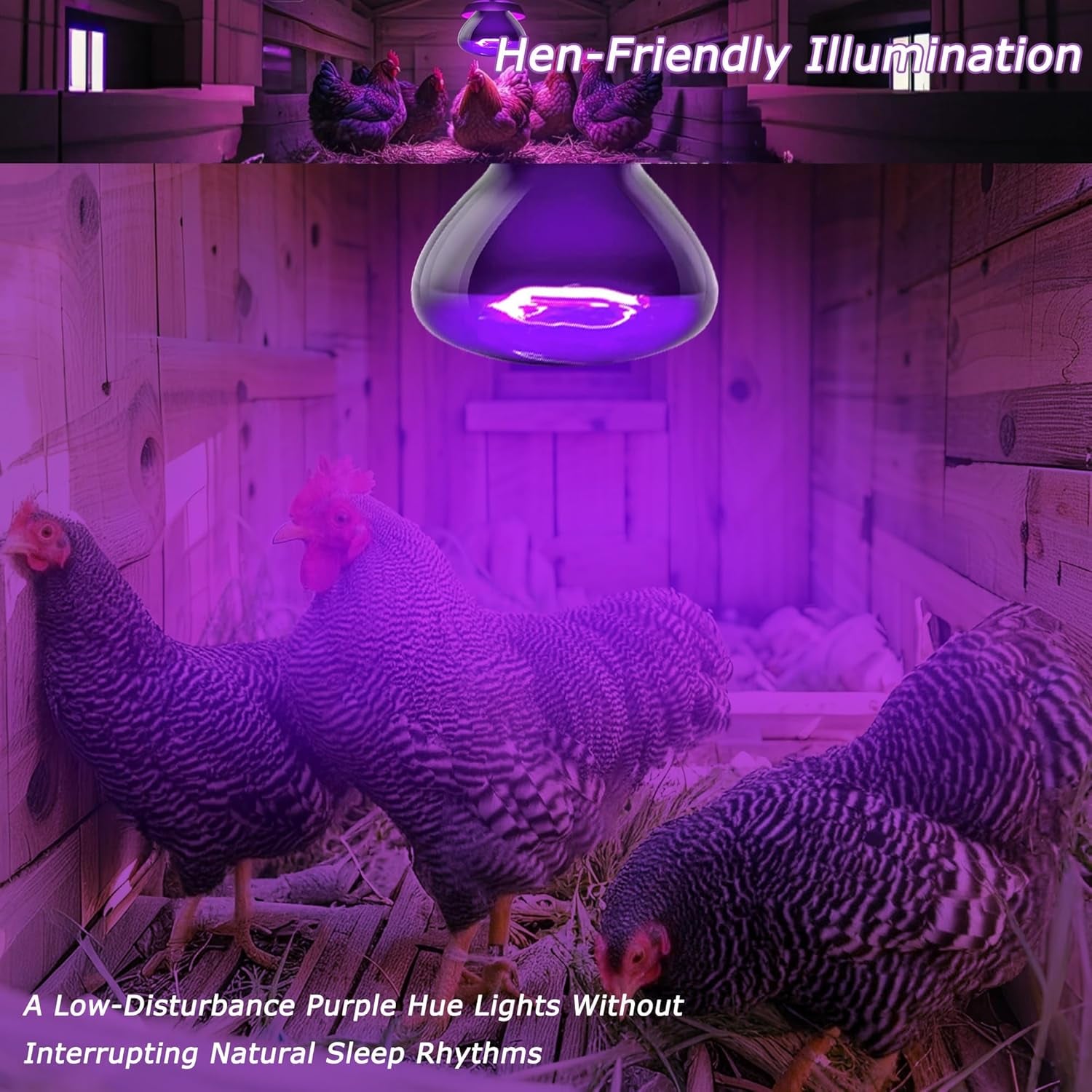 Reptile Night Heat Bulb 75W Purple UVA Basking Lamp E26 2 Pack