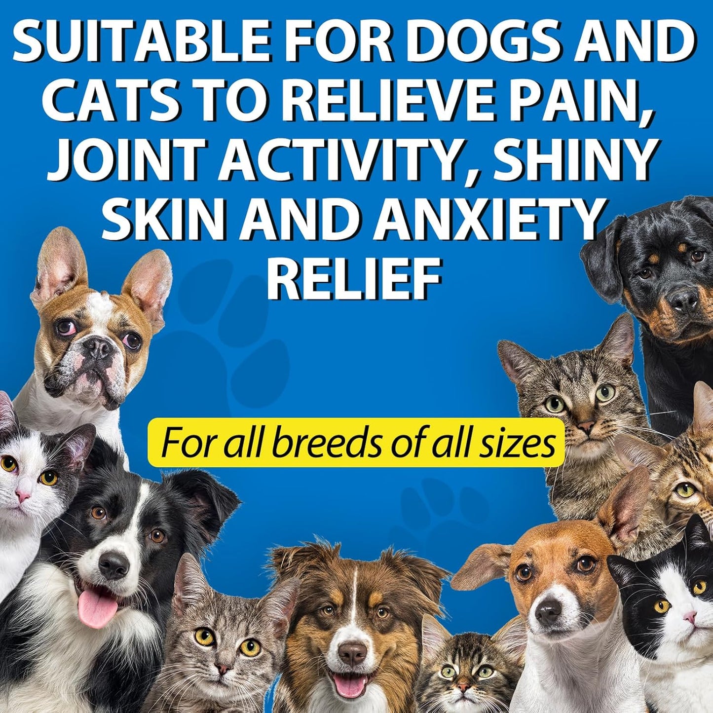 Hemp Oil for Dogs & Cats — Calming, Joint & Skin Support | 60ml Daily Supplement