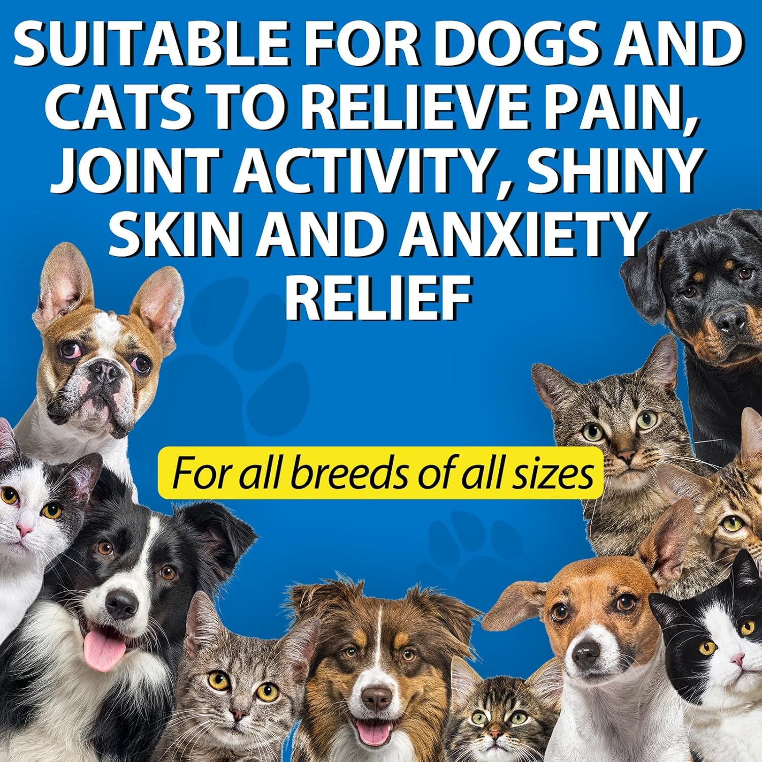 Hemp Oil for Dogs & Cats — Calming, Joint & Skin Support | 60ml Daily Supplement