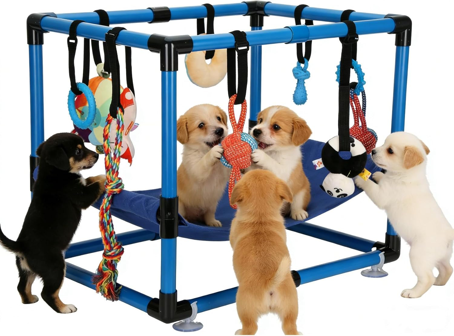Indoor Puppy Play Gym with Hammock 8 Toys Dog Enrichment Activity Center Blue