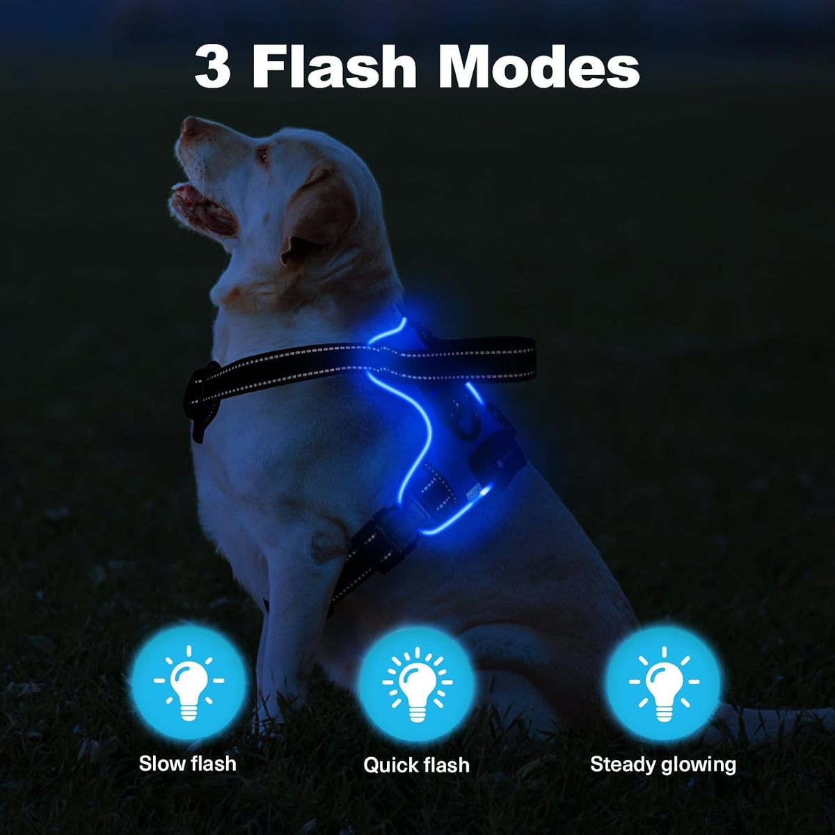 LED No-Pull Dog Harness – Rechargeable, S–XL, 6 Colors