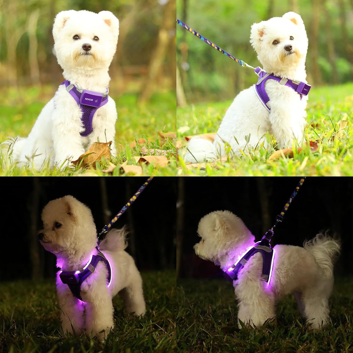 LED Light-Up Dog Harness – Rechargeable, XS–L, 6 Colors