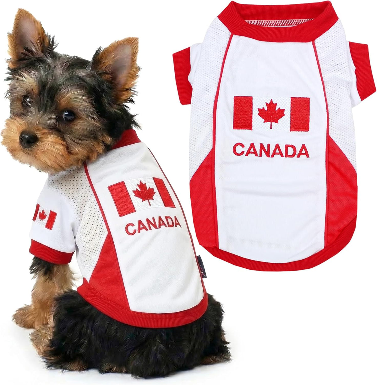 Parisian Pet Soccer Jersey for Dogs – Breathable Mesh Team Jersey, XS–5XL