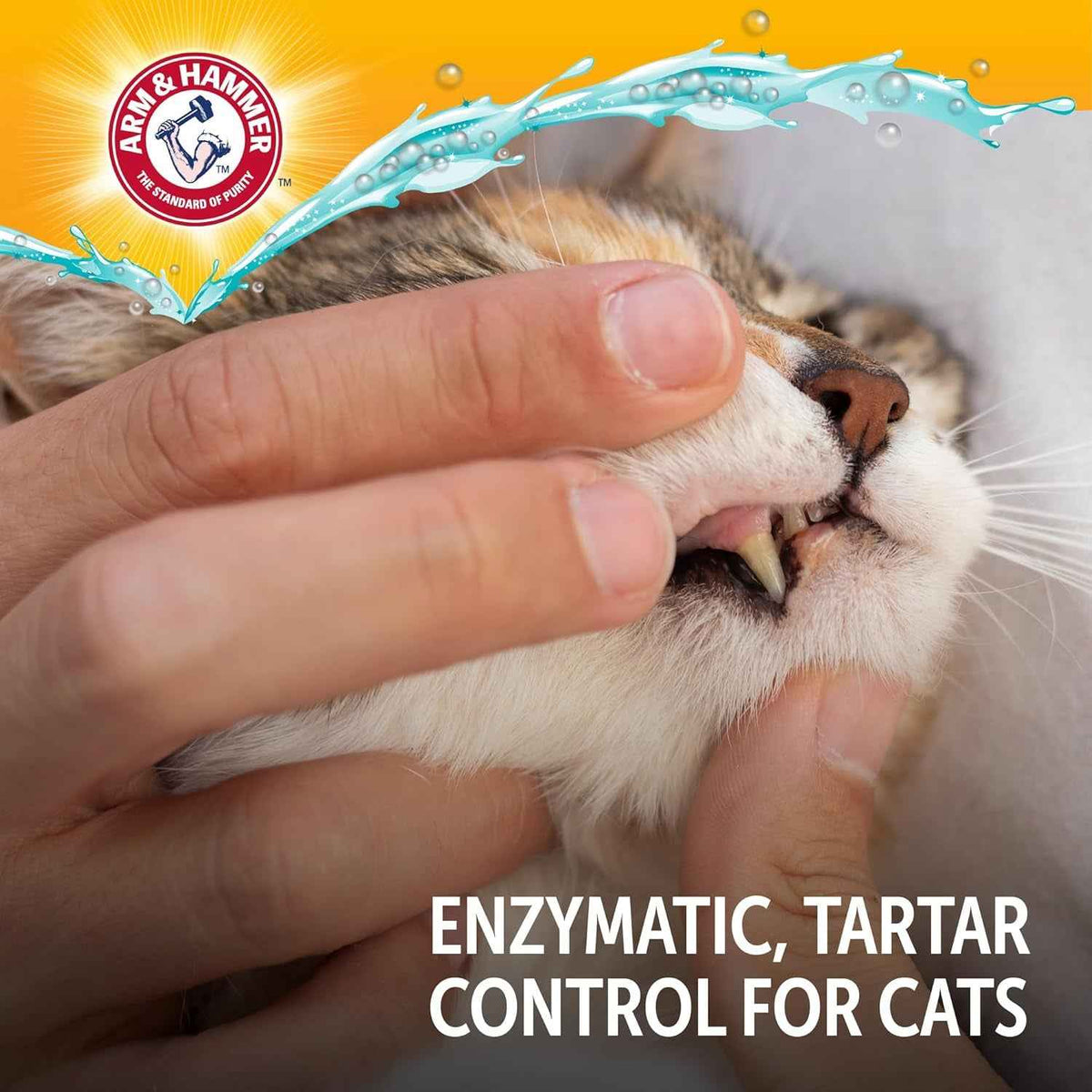 Dog Dental Kit Toothpaste Toothbrush Baking Soda Enzymatic 2.5oz