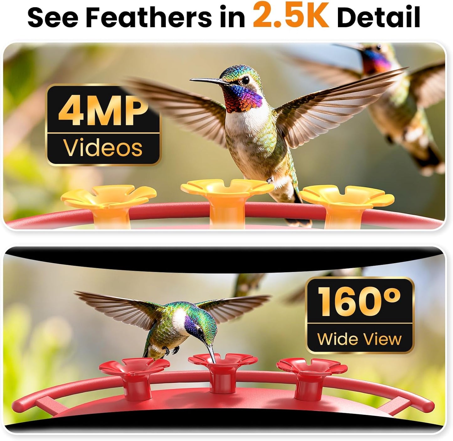 Hummingbird Feeder Camera Solar WiFi 2.5K HD AI Night Vision