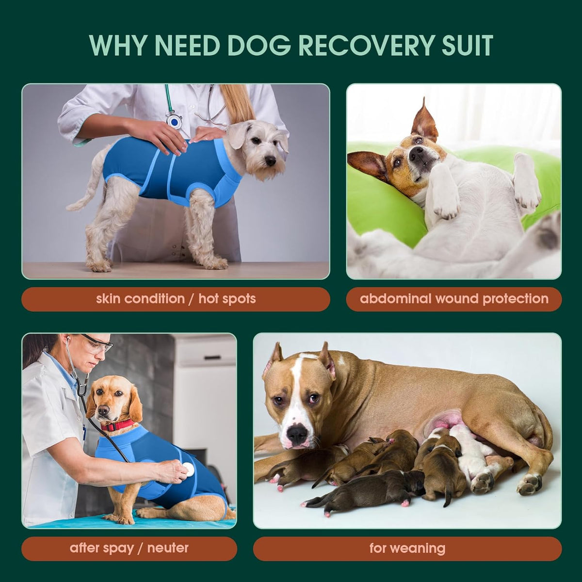 Female Dog Recovery Suit After Spay, XS–2XL