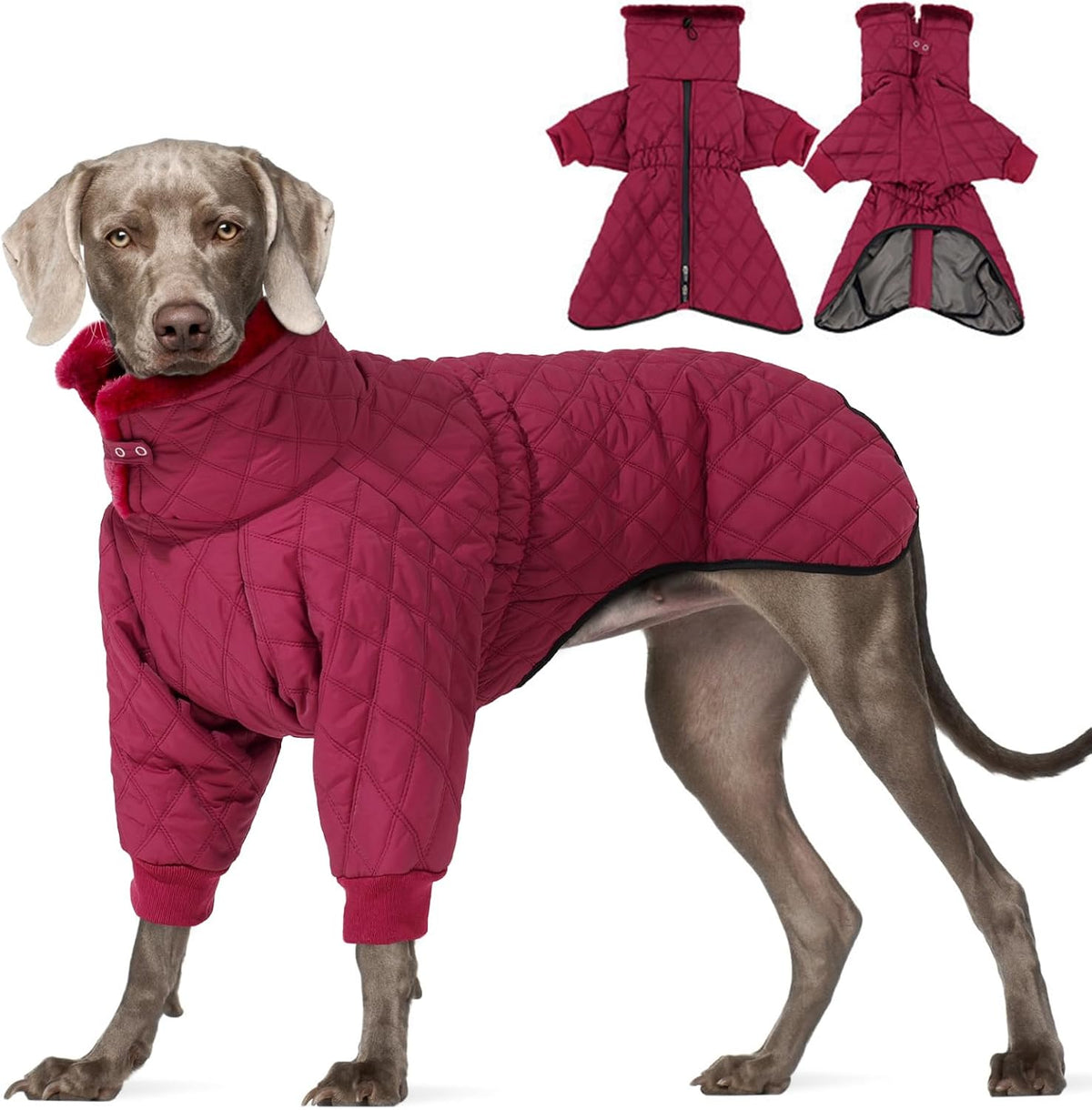 Waterproof fleece-lined dog snow jacket with high collar, size S to 3XL