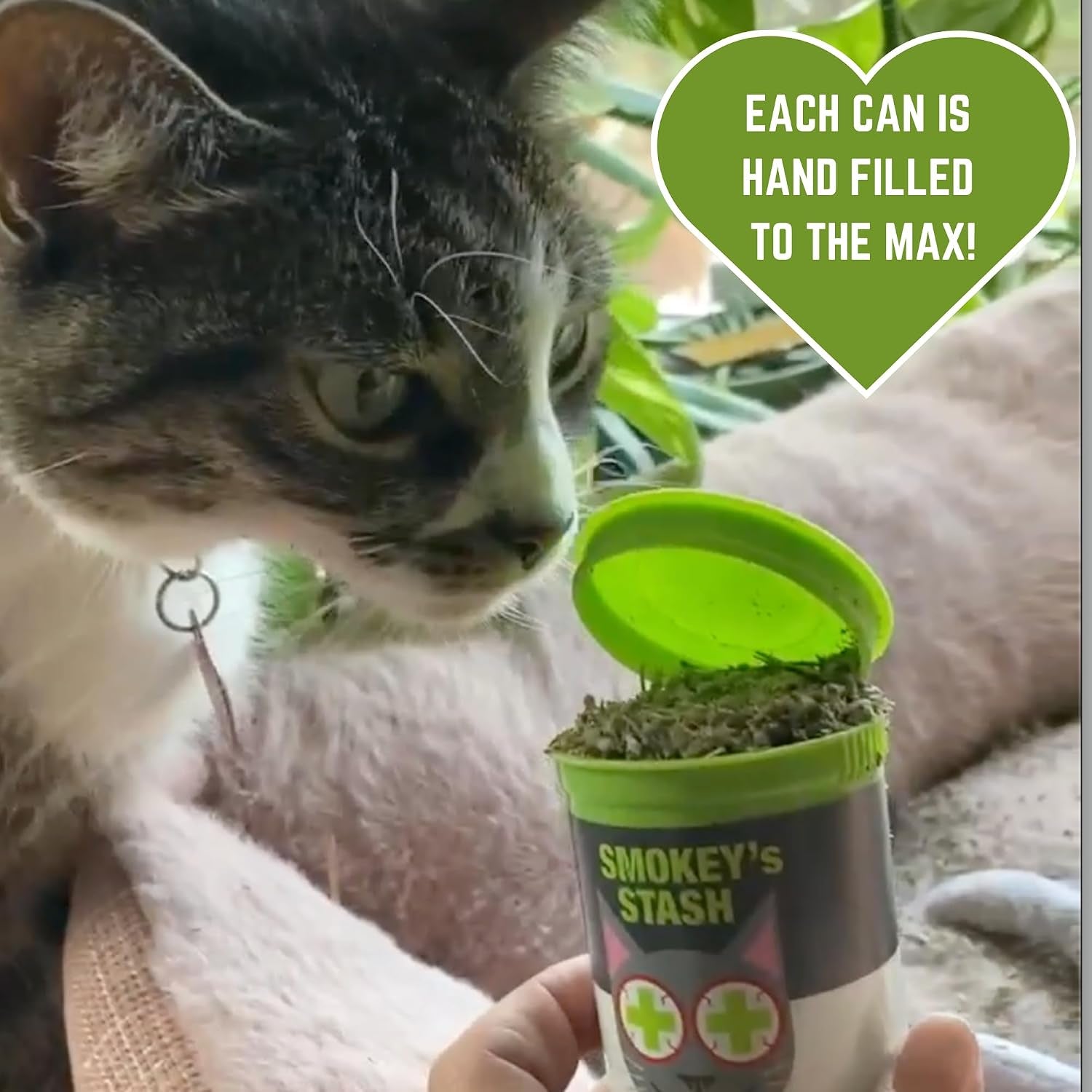 Catnip Spray & Organic Dried Catnip Bundle for Cats | USA Made Cat Training Set