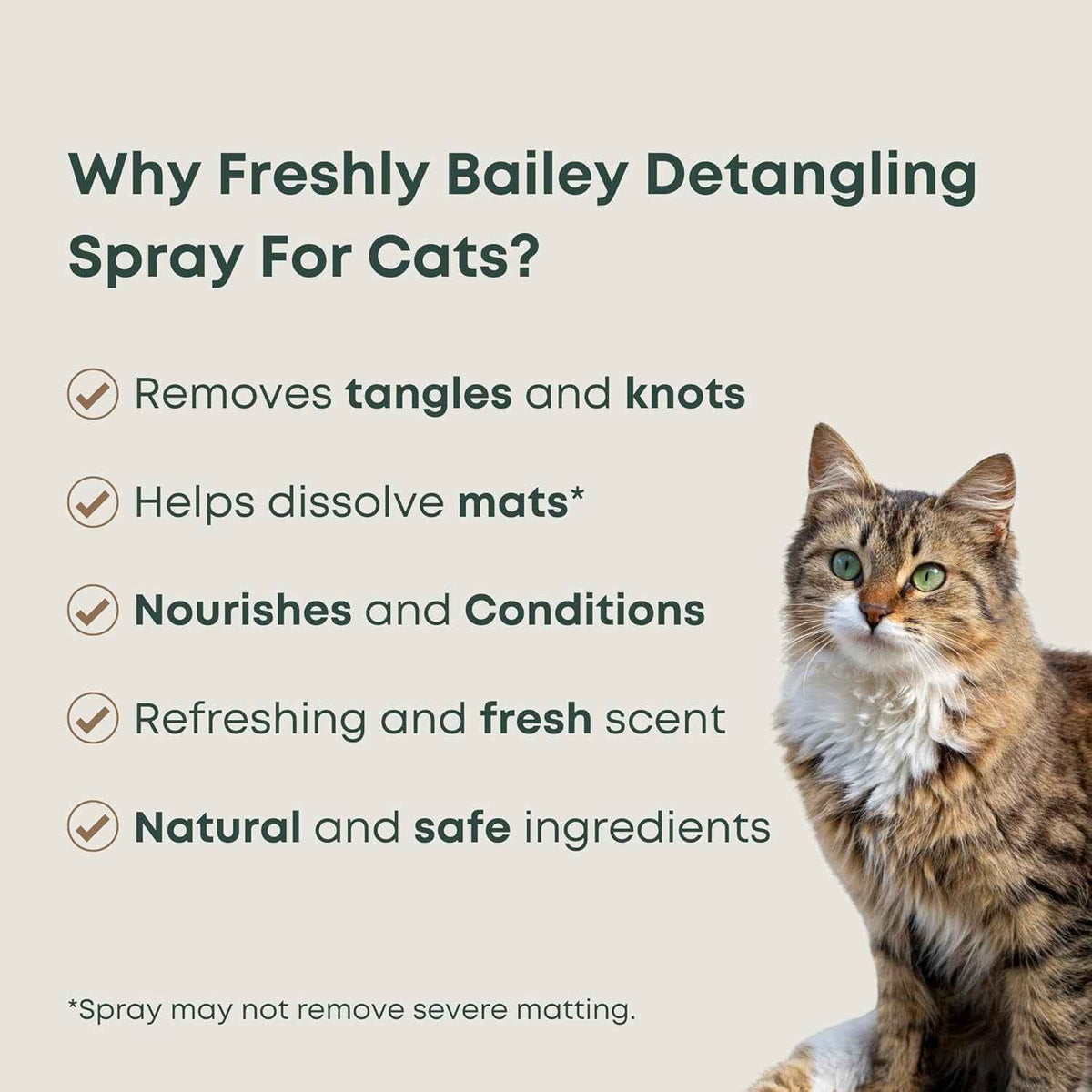 Cat Detangling Spray Leave In Conditioner for Soft Shiny Coats 16oz