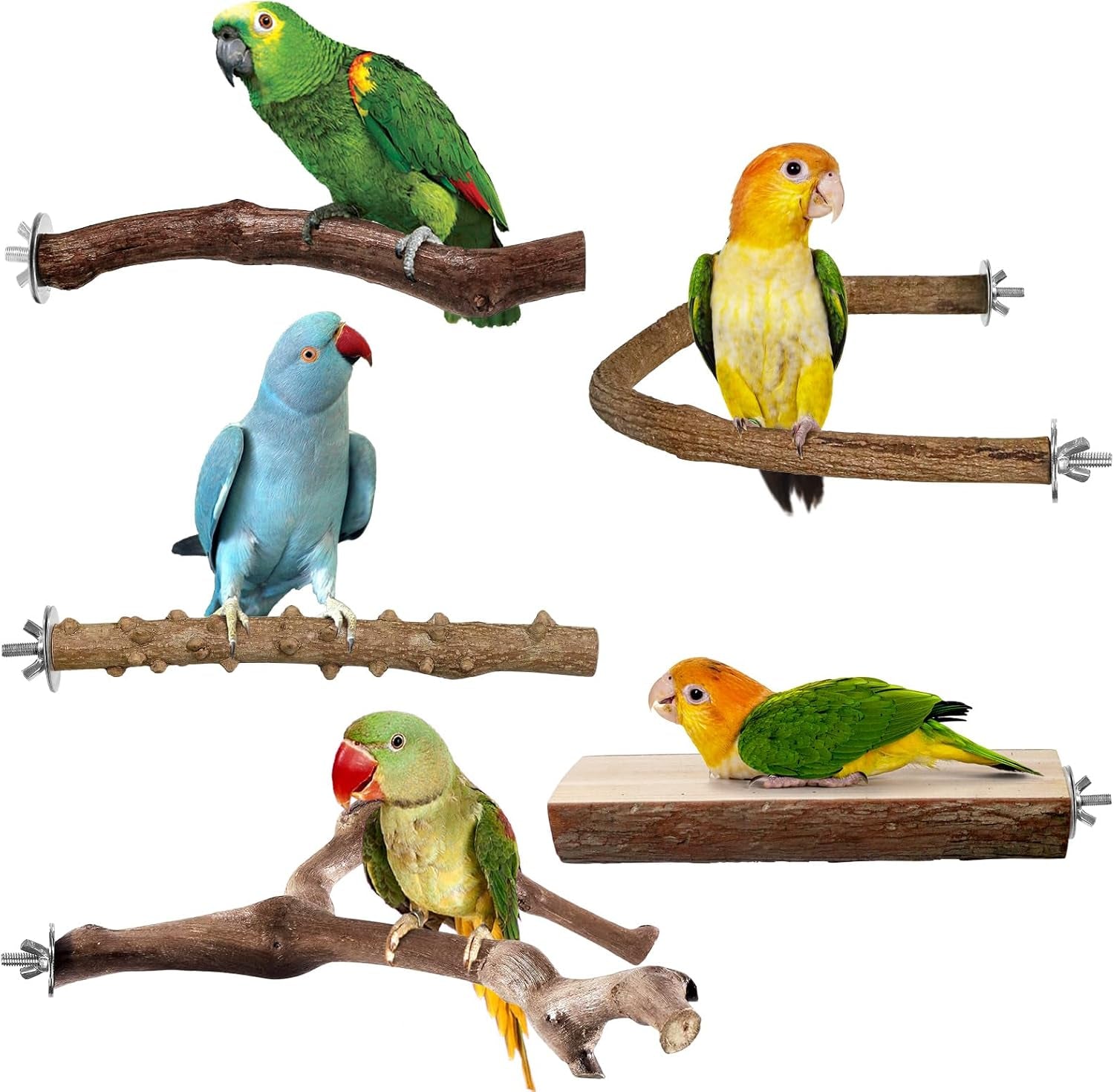 6pcs Natural Wood Bird Perches Parrot Cage Branch Stand Platform Set Small Birds Pattern-4