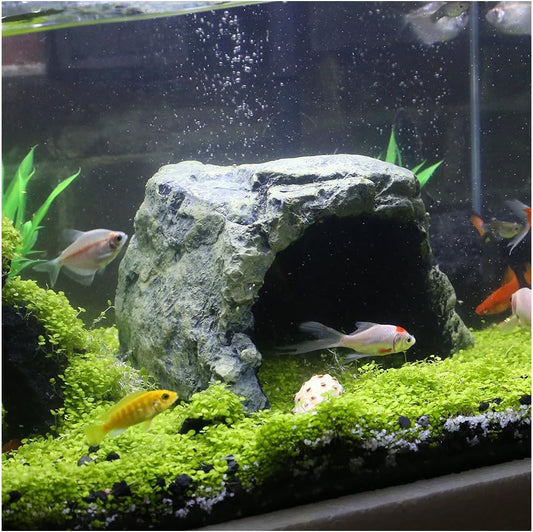 Reptile Rock Hide Cave Natural Resin Habitat for Lizards Turtles Fish Default Title