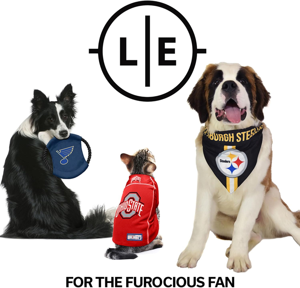 NFL Pet Stretch Jersey – All Teams, XS–Big Dog