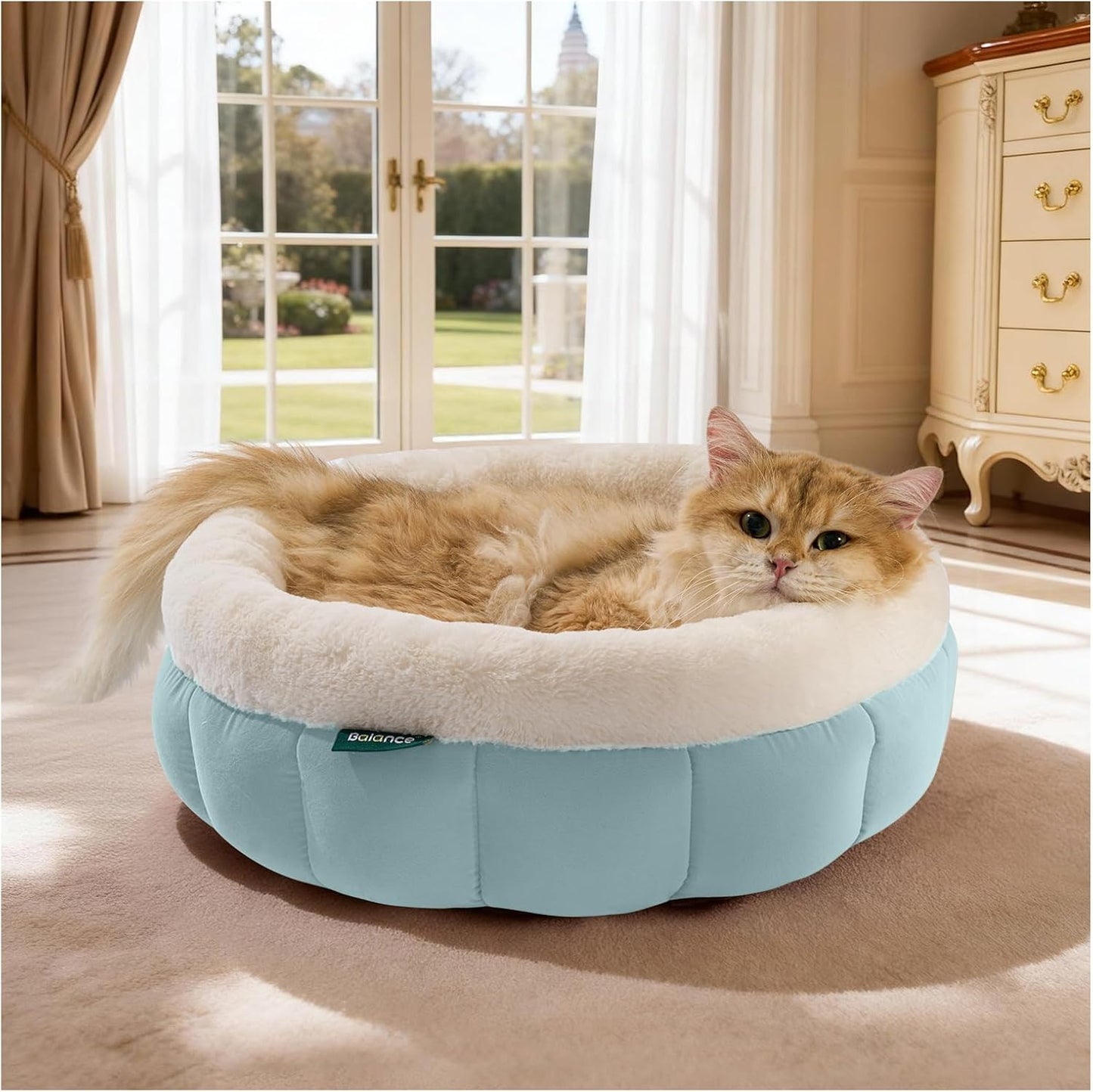 Cat Bed Round Washable Donut Bed Anti Slip Plush Kitten Puppy 18in Dream Blue 18"L X 18"W X 6.5"Th