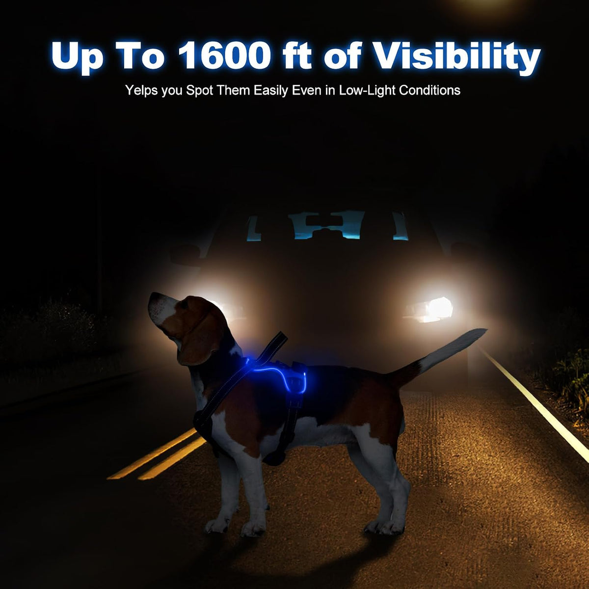 LED No-Pull Dog Harness – Rechargeable, S–XL, 6 Colors