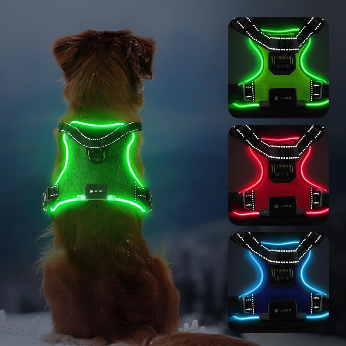 LED No-Pull Dog Harness – Rechargeable, S–XL, 6 Colors