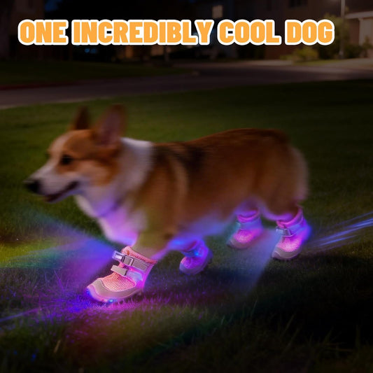 LED Light-Up Dog Boots – 4-Pack, 3 Sizes, 2 Colors