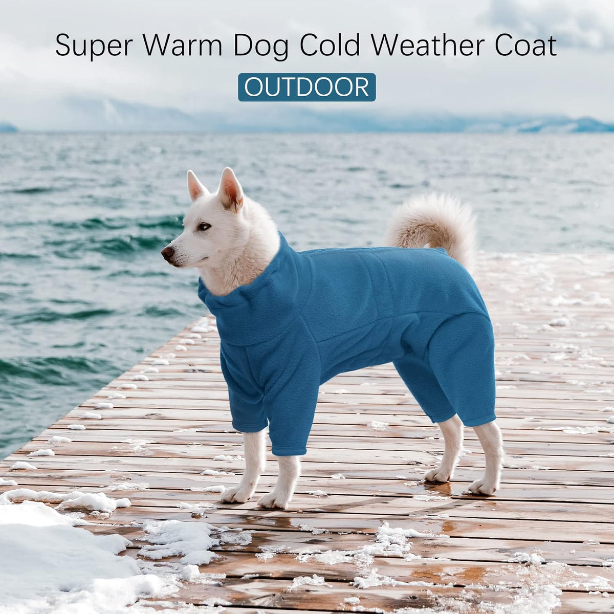 Full-Body Fleece Dog Winter Coat – 13 Patterns, XS–4XL