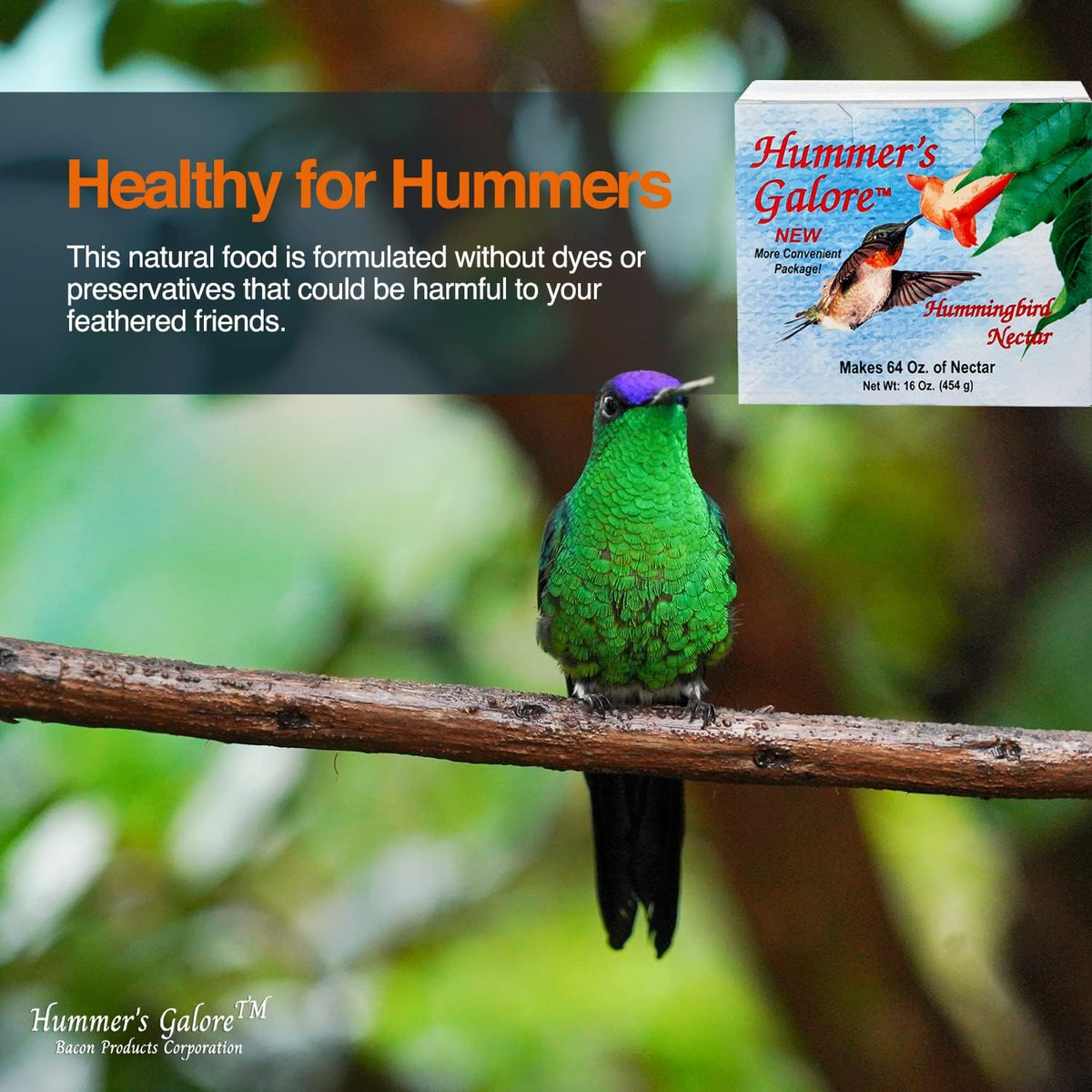 Hummer’s Galore Hummingbird Nectar Mix – Makes 64 oz