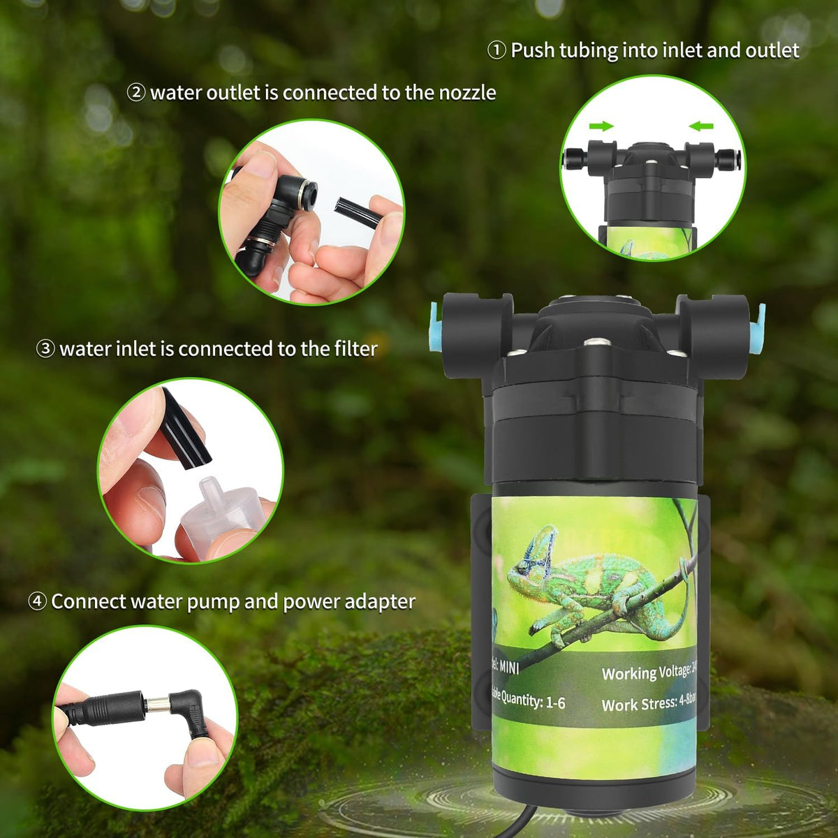 Reptile mister system with timer and six nozzles for terrarium humidity