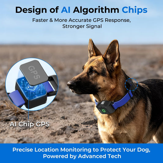 GPS Wireless Dog Fence System — App-Controlled, No Subscription, Waterproof