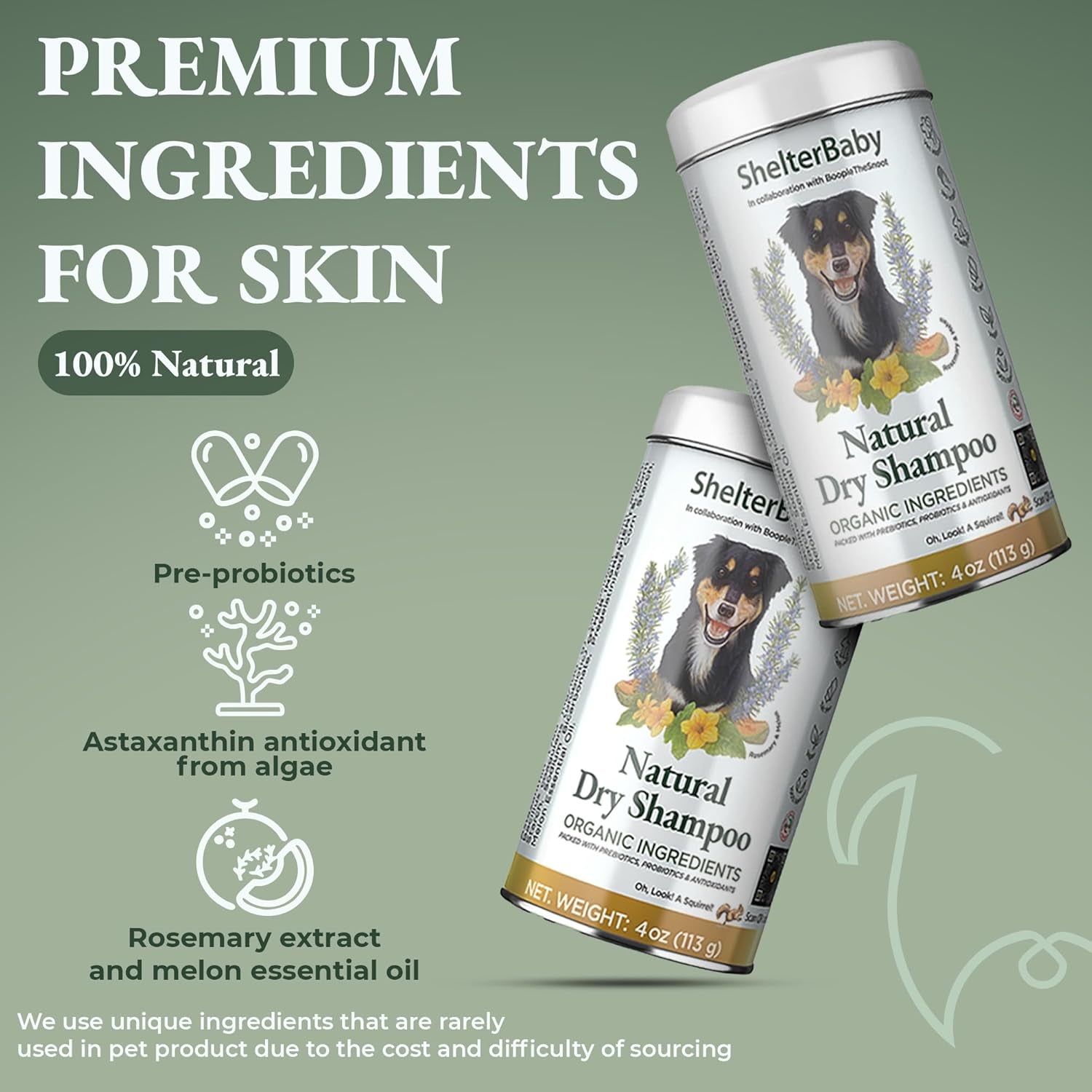 Dry Shampoo for Dogs Itchy Skin Paw Licking Allergy Support Powder