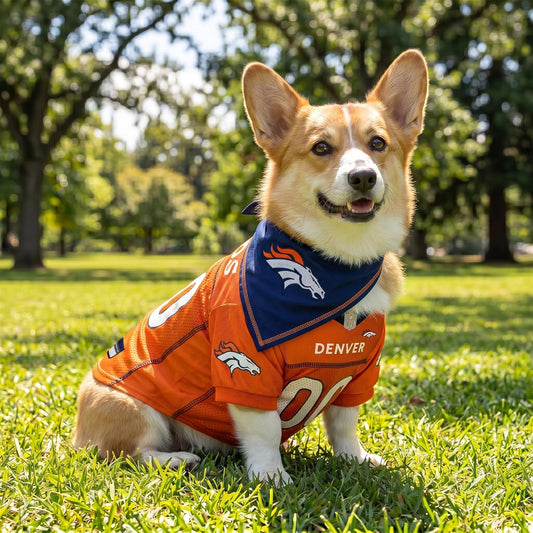 NFL Dog Jersey & Tie Bandana Set Official Pet Apparel All Teams