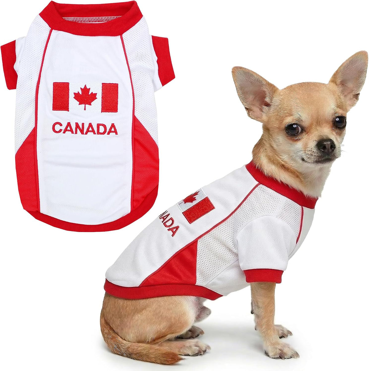 Parisian Pet Soccer Jersey for Dogs – Breathable Mesh Team Jersey, XS–5XL