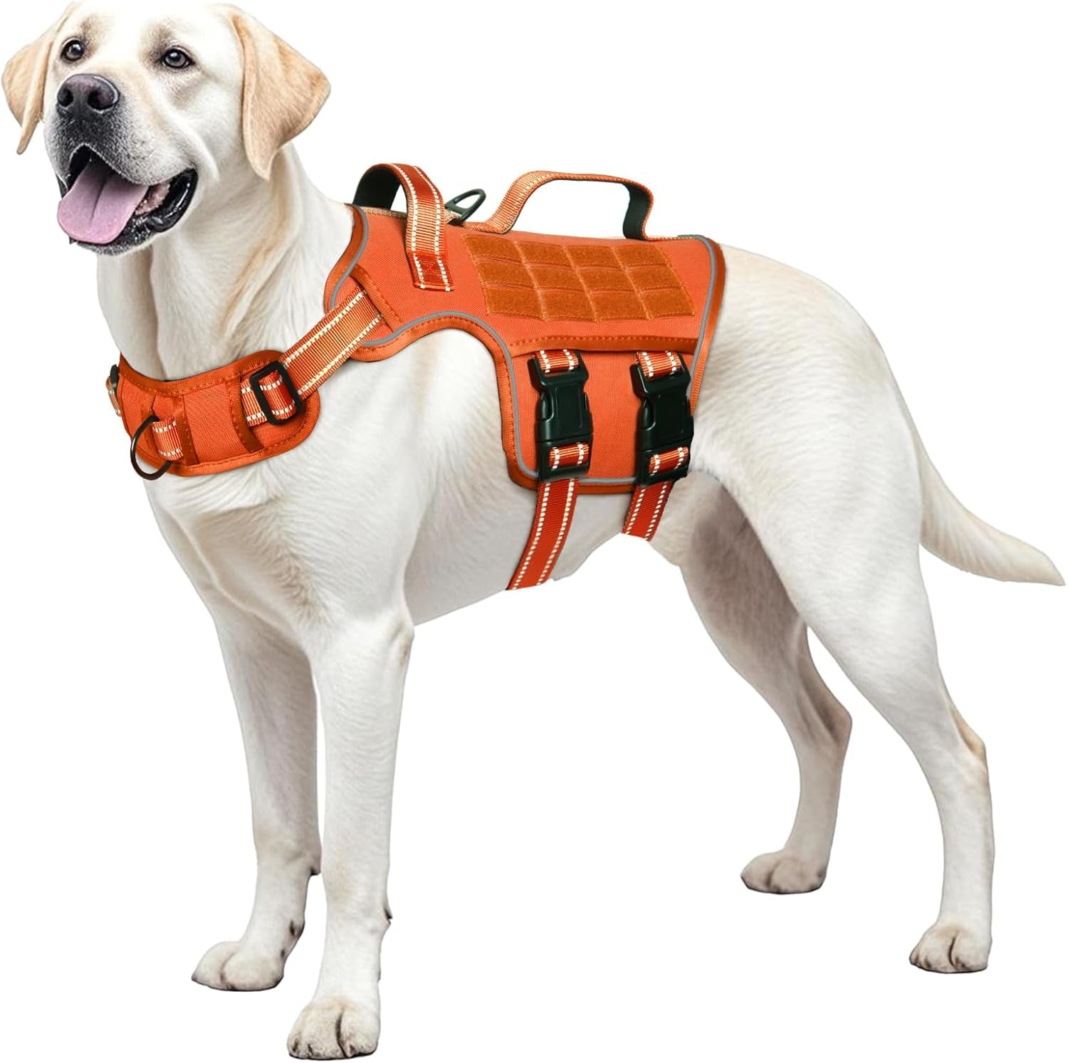 No Pull Tactical Dog Harness Heavy Duty Molle Vest for Medium to XLarge Dogs Orange L(Neck:18-24",Chest:25-36"),45-80 Lbs