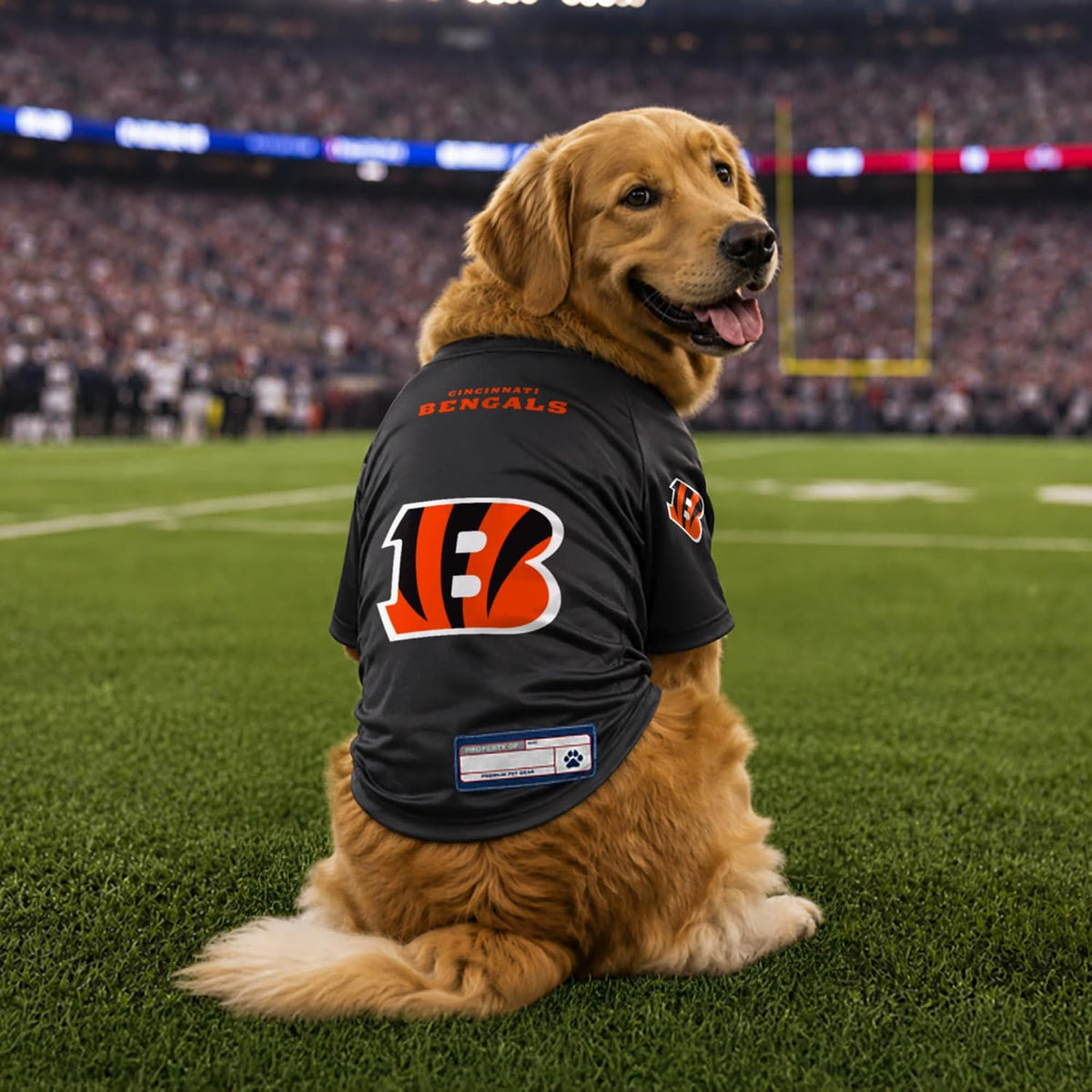 NFL Pet Stretch Jersey – All Teams, XS–Big Dog