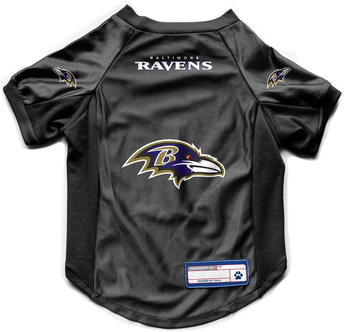 NFL Pet Stretch Jersey – All Teams, XS–Big Dog