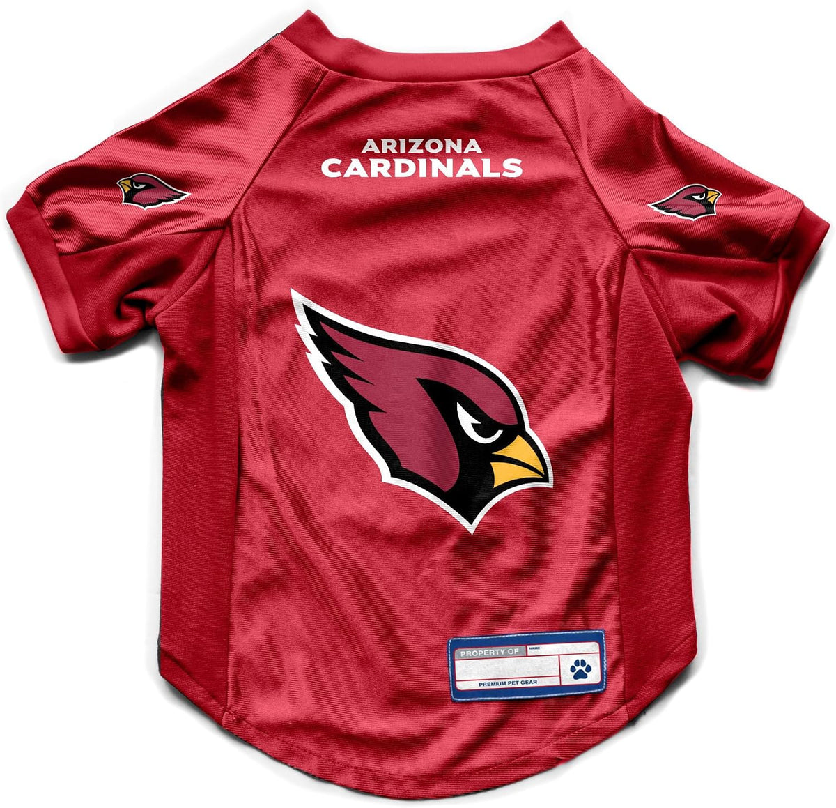 NFL Pet Stretch Jersey – All Teams, XS–Big Dog