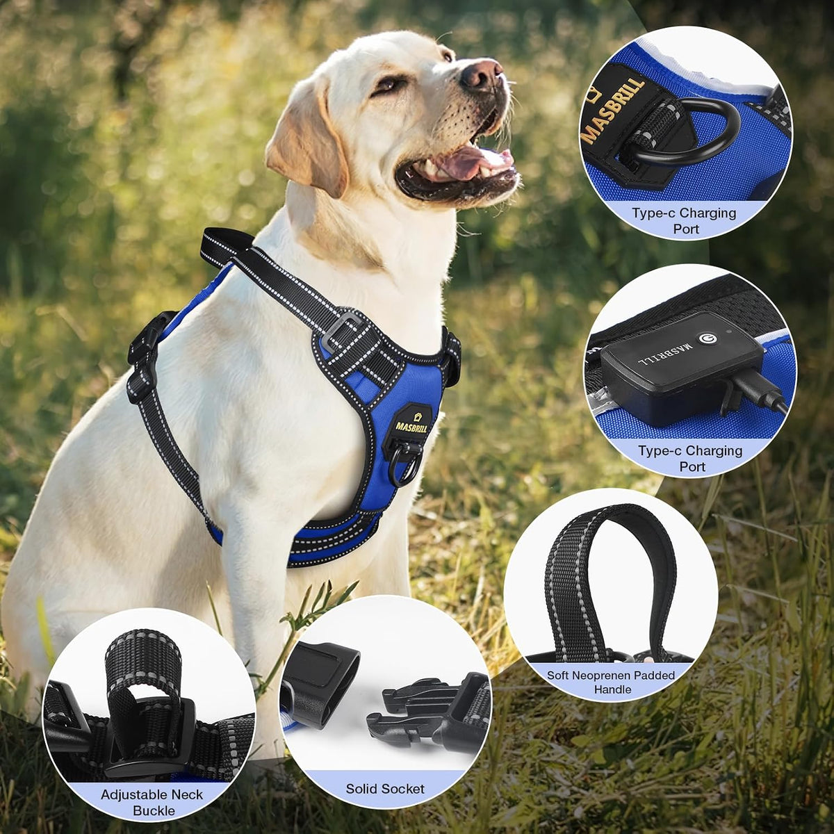LED No-Pull Dog Harness – Rechargeable, S–XL, 6 Colors