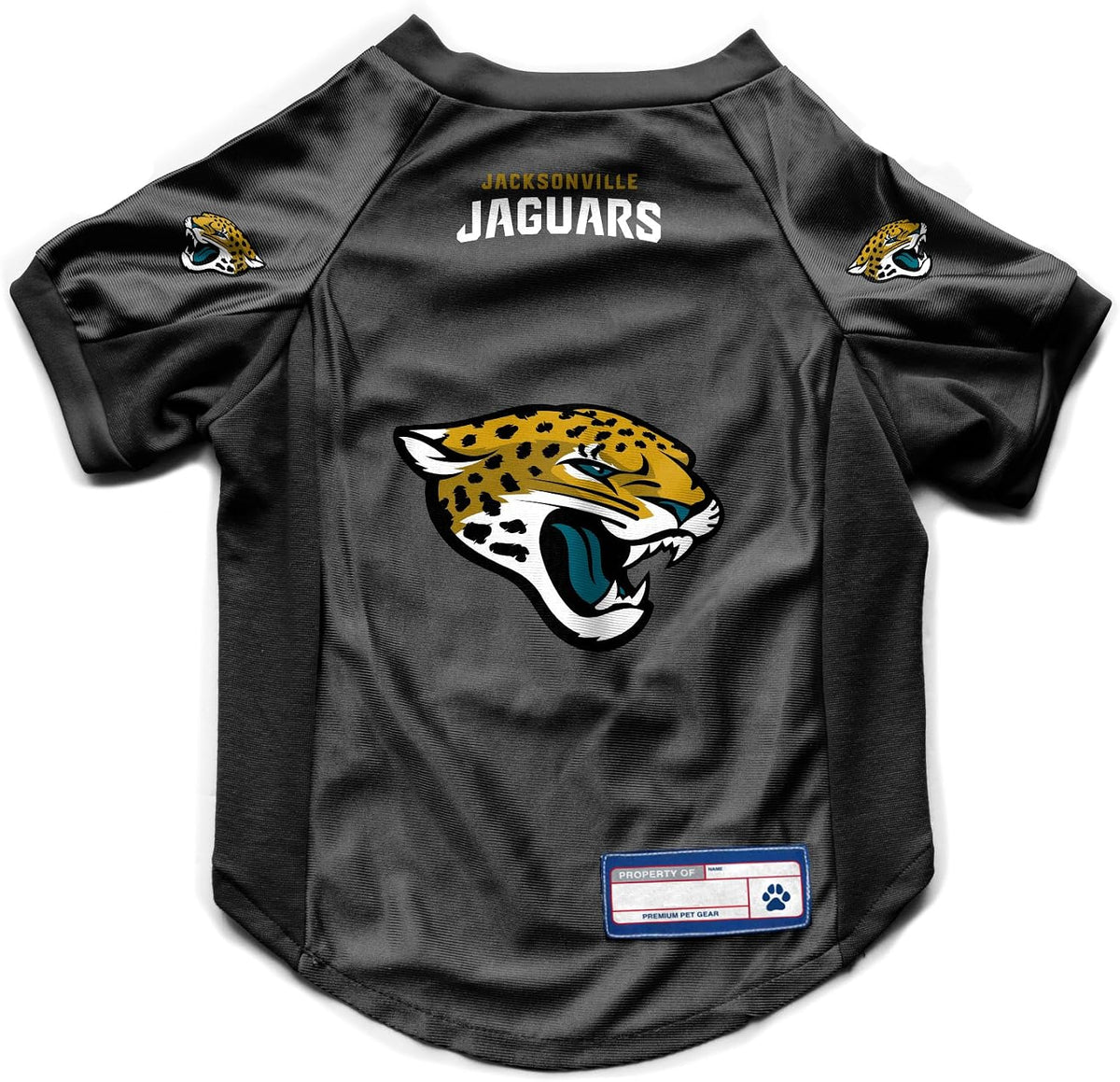 NFL Pet Stretch Jersey – All Teams, XS–Big Dog