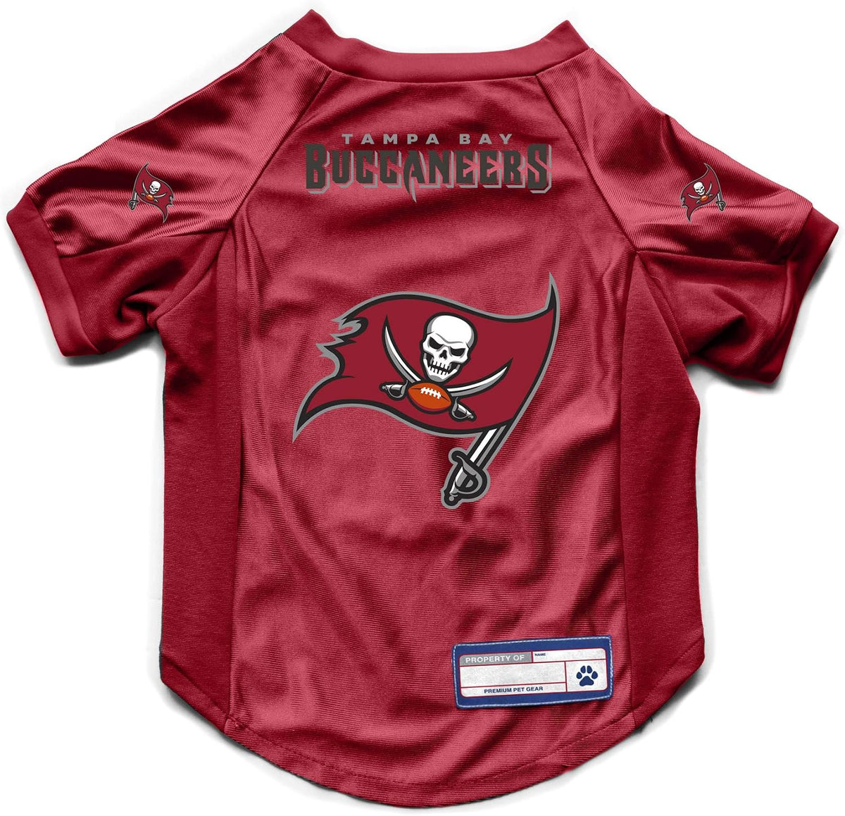 NFL Pet Stretch Jersey – All Teams, XS–Big Dog