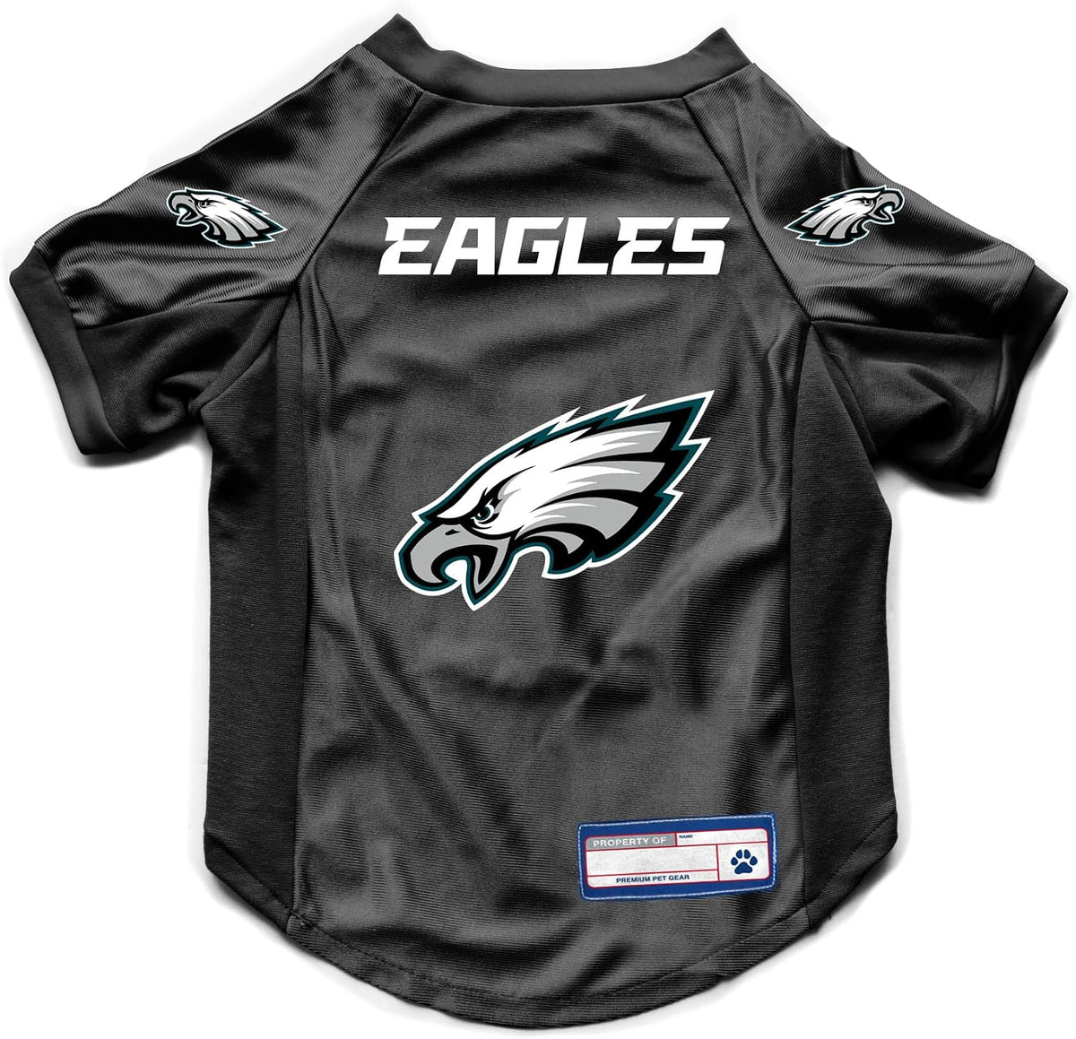 NFL Pet Stretch Jersey – All Teams, XS–Big Dog