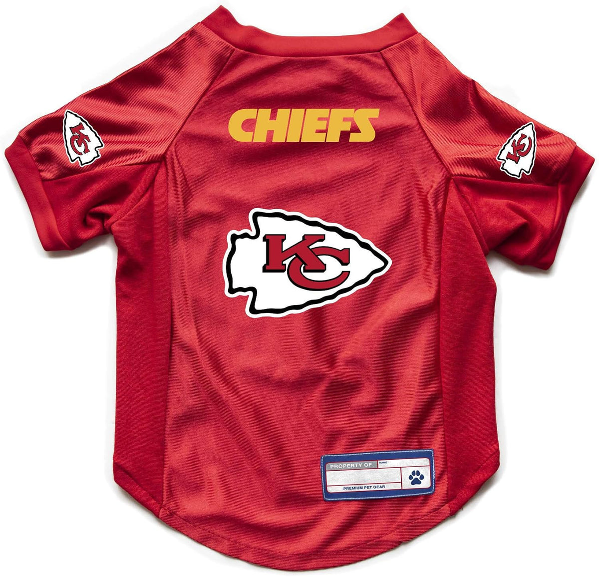 NFL Pet Stretch Jersey – All Teams, XS–Big Dog