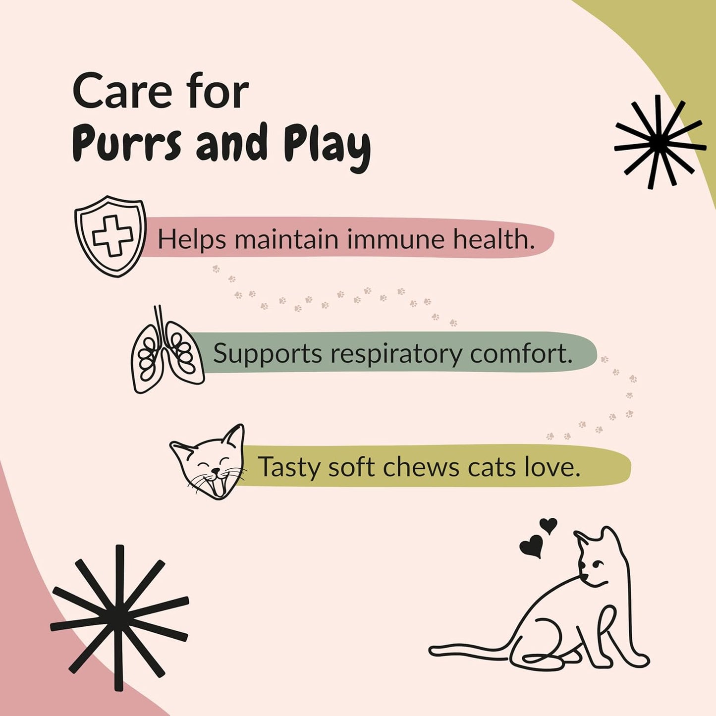 L-Lysine Chews for Cats — Daily Immune Support | Chicken Flavor, 150 Count
