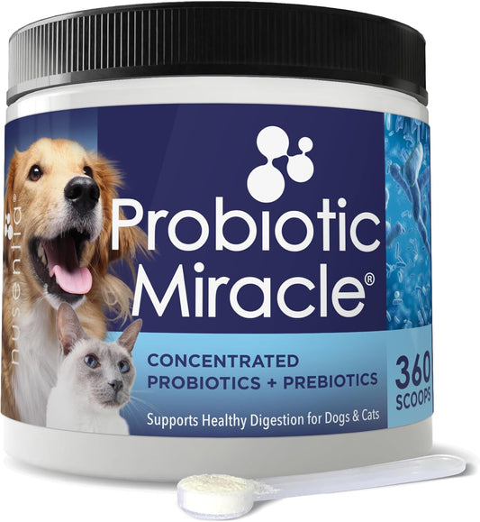 Dog Probiotics Powder 360 Scoops Digestive Enzyme Diarrhea Relief Immune Default Title