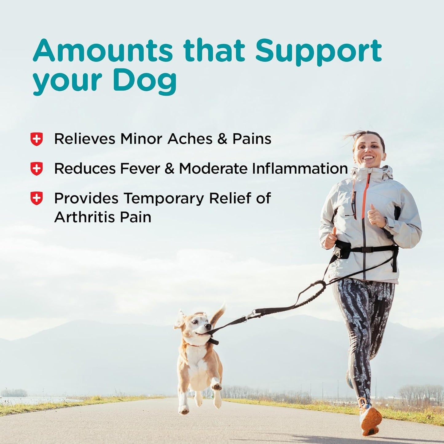 Nutri-Vet Dog Aspirin 300 mg for Large Dogs | Joint & Arthritis Relief