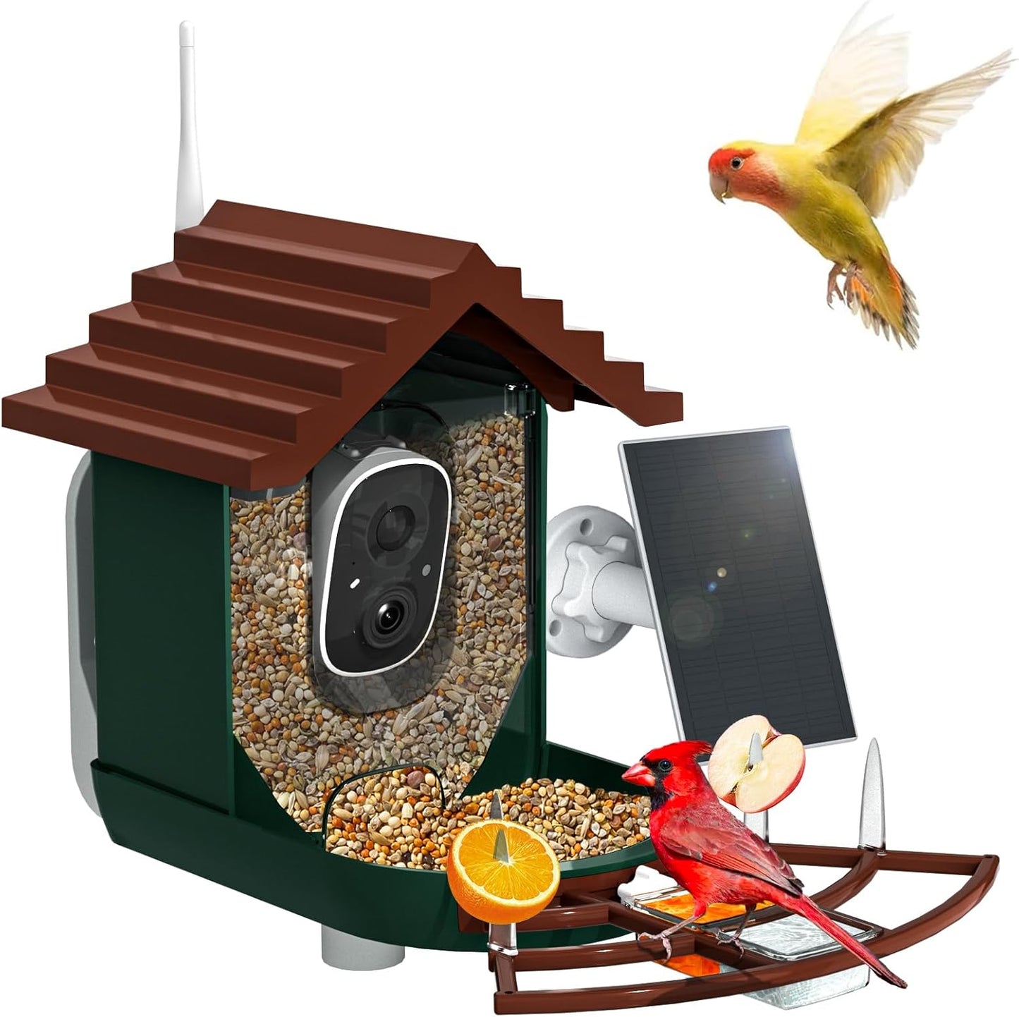 NAVFS Smart Bird Feeder Camera with Solar Panel, 2K Video & AI Bird ID