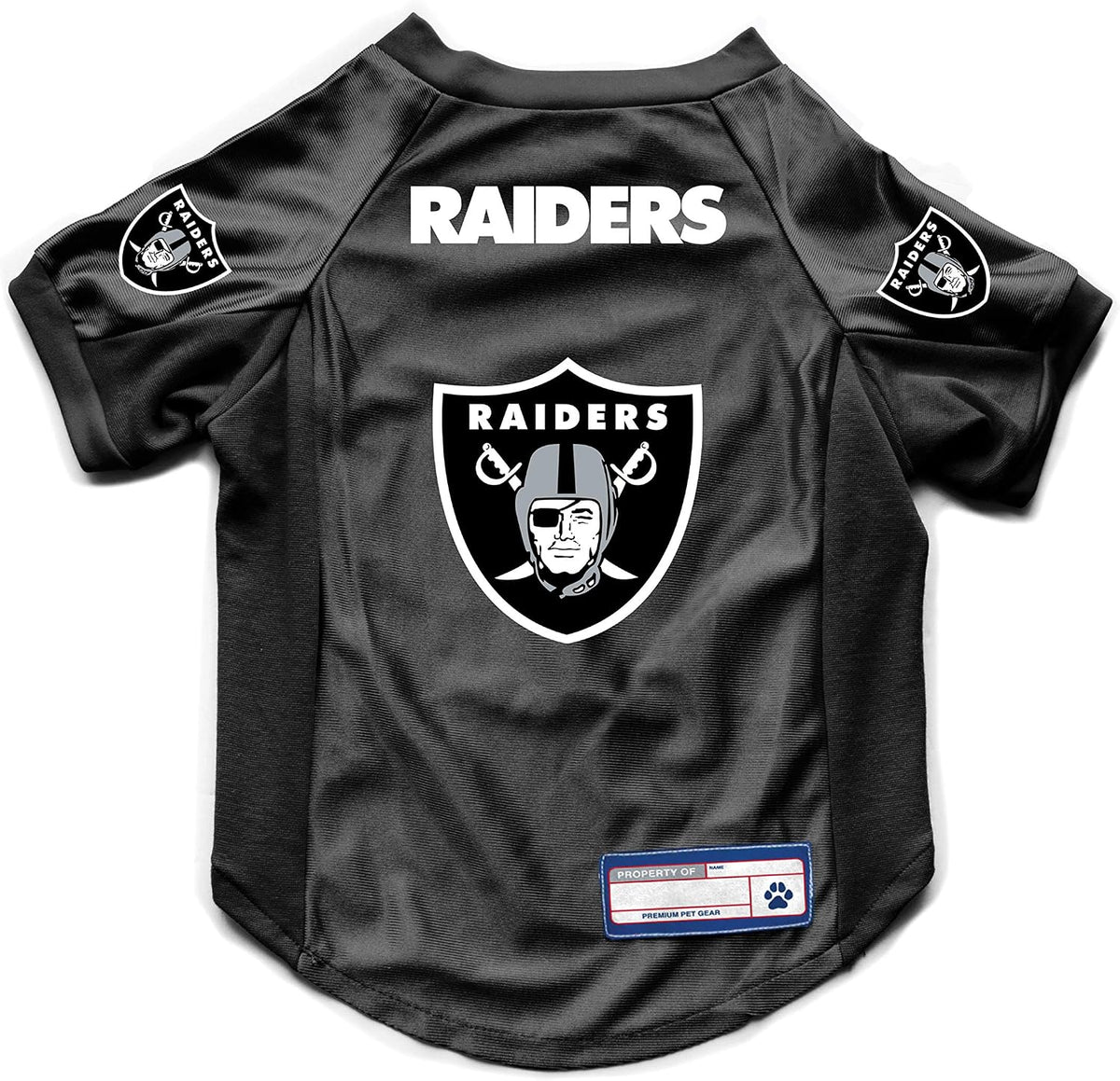 NFL Pet Stretch Jersey – All Teams, XS–Big Dog
