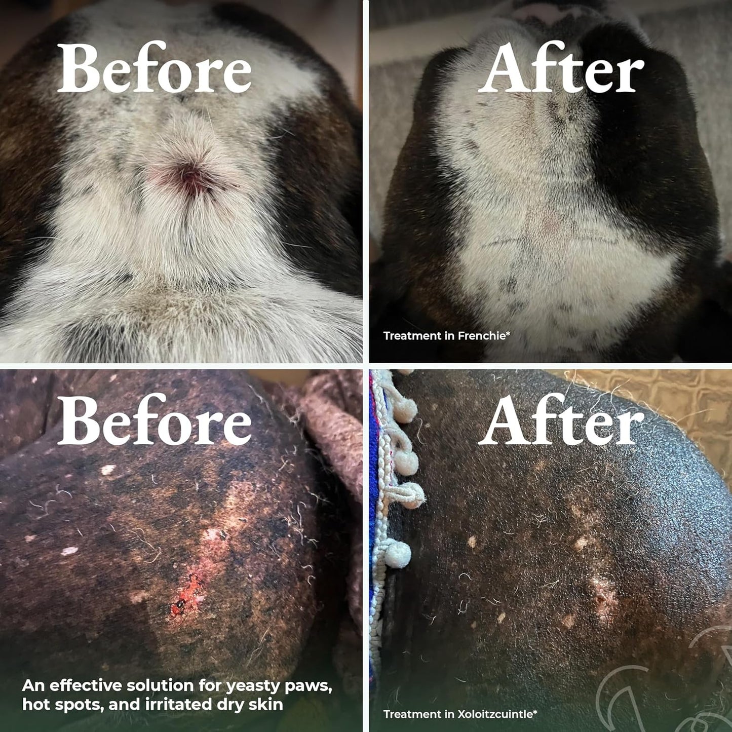 Dry Shampoo for Dogs Itchy Skin Paw Licking Allergy Support Powder