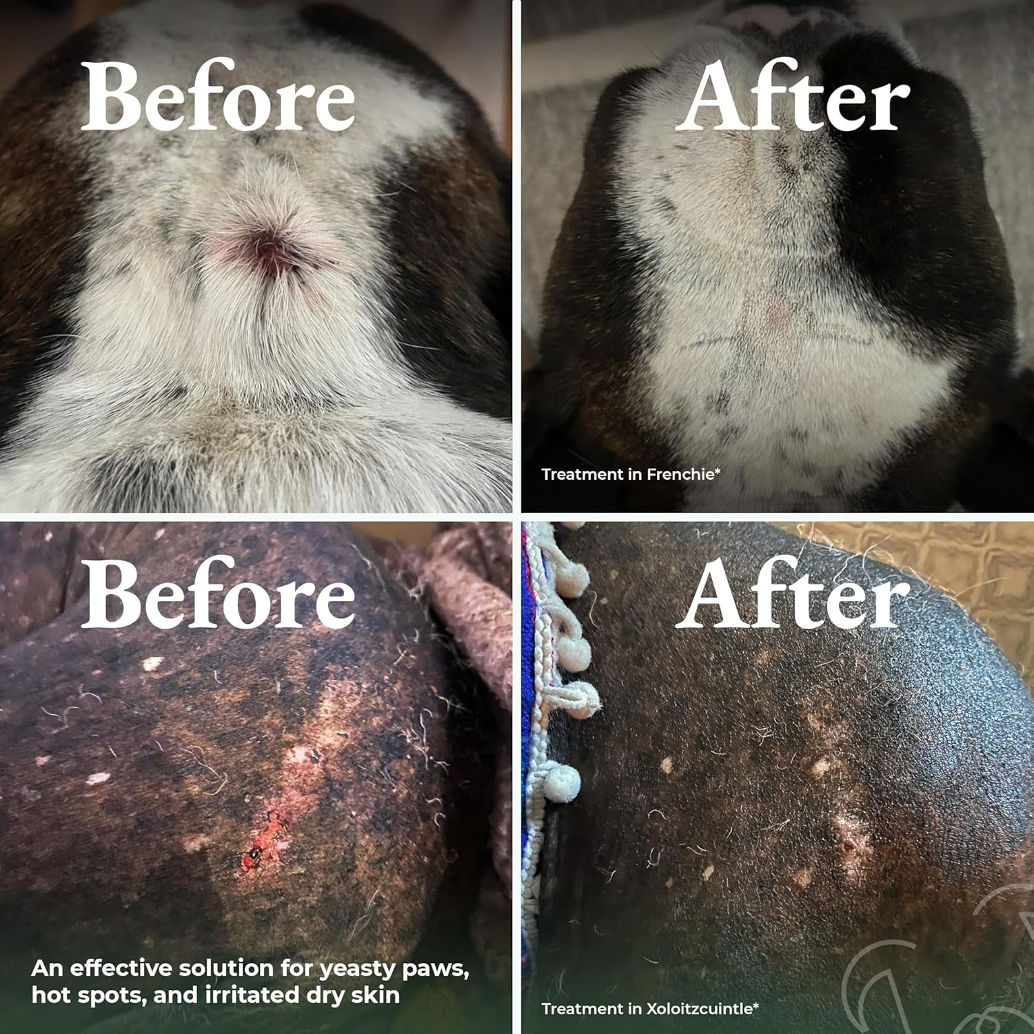 Dry Shampoo for Dogs Itchy Skin Paw Licking Allergy Support Powder